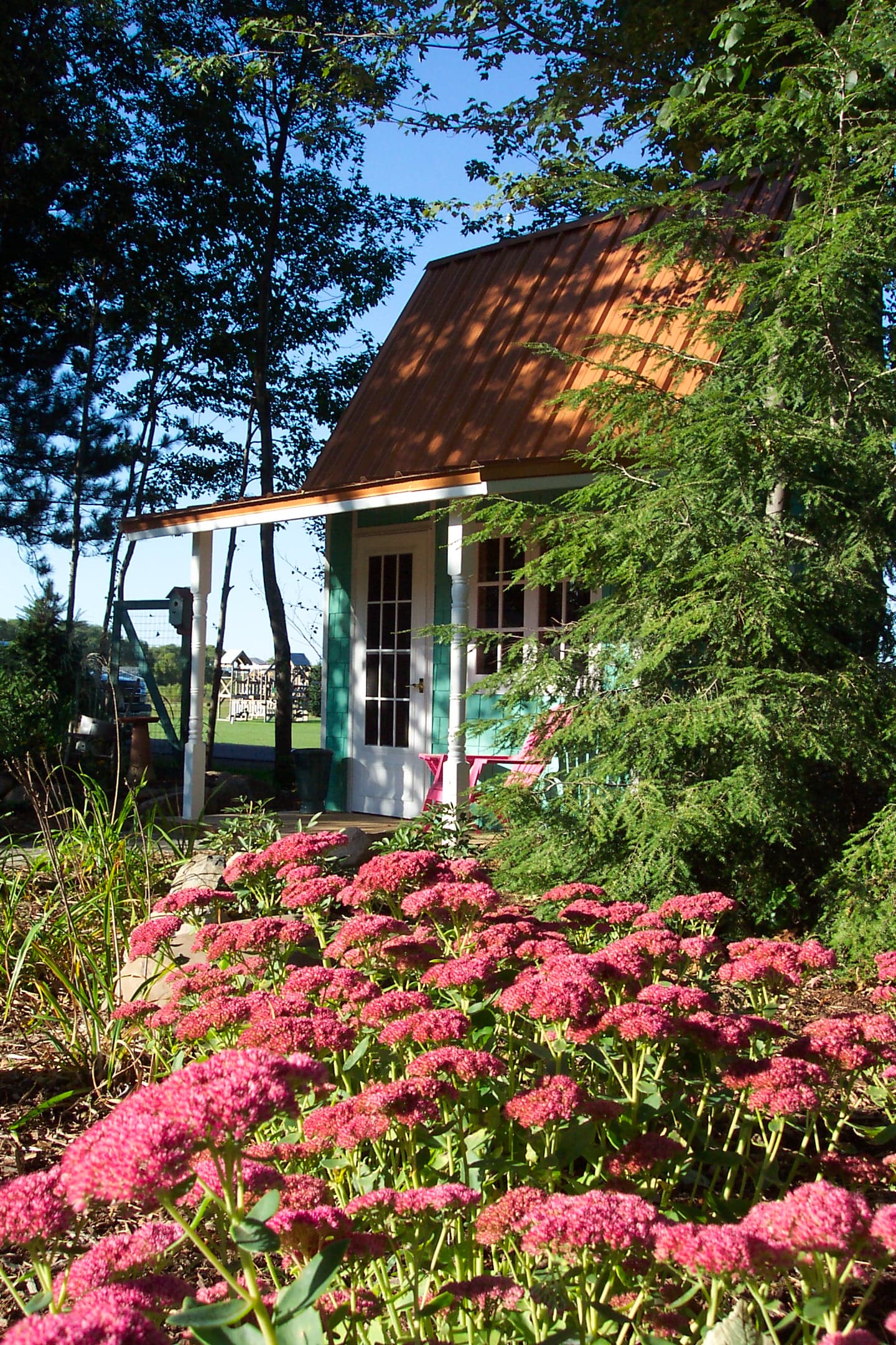 Garden shed surrounded by pink sedum perennials