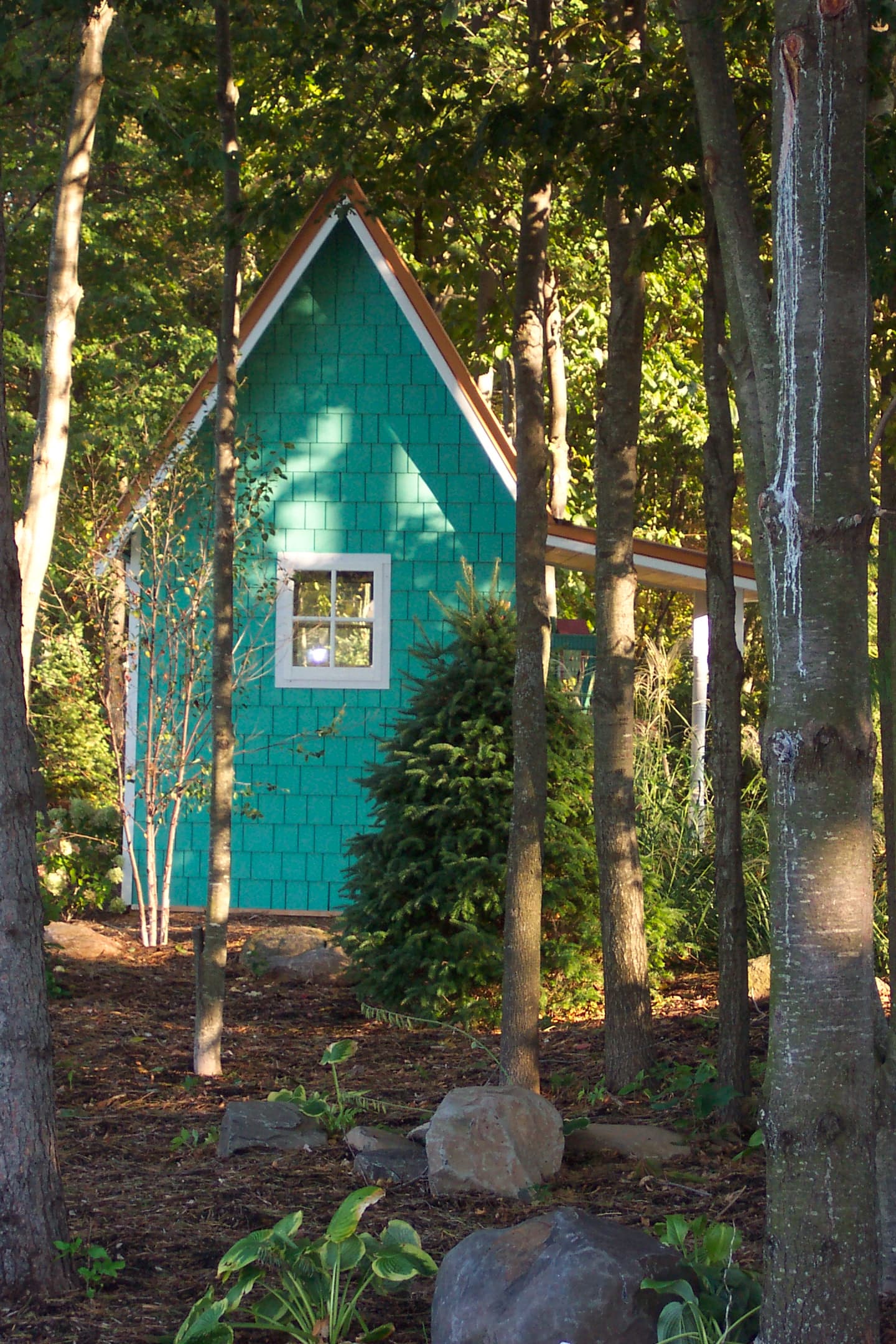 Woodland garden setting with shade plantings